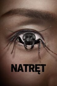 Natręt Cały film (2025)