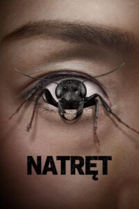 Natręt Cały film (2025)