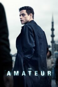 Amator Cały film (2025)