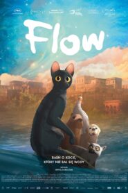 Flow Cały film (2024)