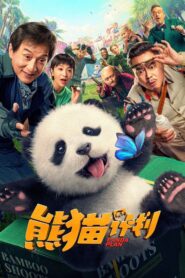 Panda Plan Cały film (2024)