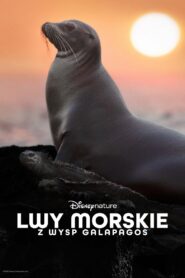Lwy morskie z wysp Galapagos Cały film (2025)
