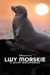 Lwy morskie z wysp Galapagos Cały film (2025)